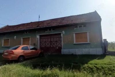 Casă cu 6 camere cu Teren 3000 Mp în Balinț - 10