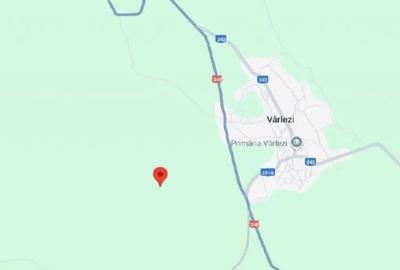 Teren de 6000 mp, în Vârlezi - 6