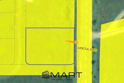 Teren intravilan 1049mp zona Casa de Apa - 2