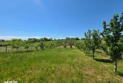 Teren de 1200 mp, în Adunații-Copăceni - 7