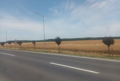 Teren Vanzare Intravilan Branesti - Investitie Zona Industriala Vis a Vis Makita - 20