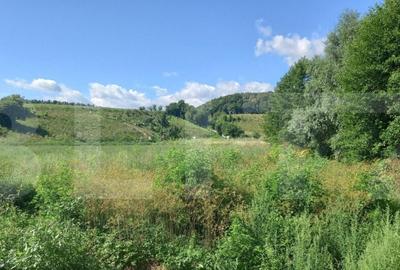 Teren de 3133 mp, în Mănăștur