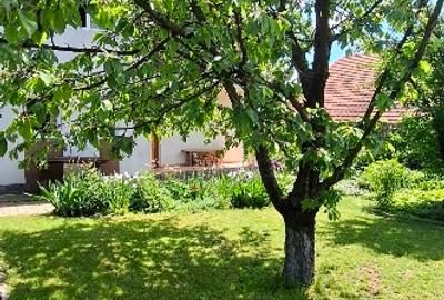 Casă individuală cu 5 camere cu Teren 600 Mp în Valea Lupului - 11