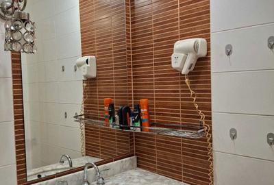 Apartament cu 2 camere decomandat în Runcu - 2