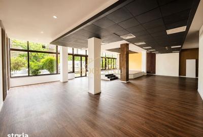 Spațiu comercial, de 400 mp, în Elisabetin