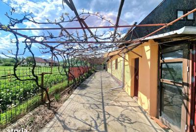 Casă cu 3 camere cu Teren 2254 Mp în Mănăstirea Cașin - 1