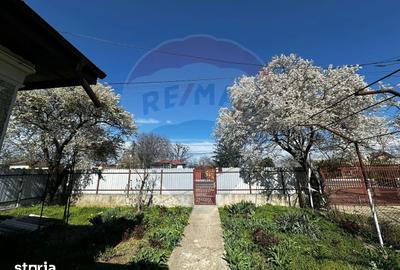 Casă cu 3 camere cu Teren 1000 Mp în Răcari - 14