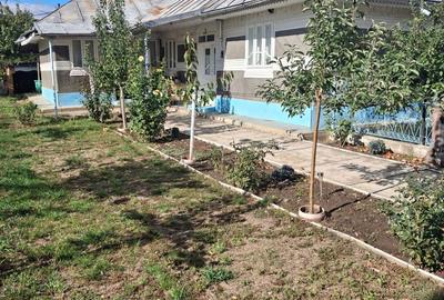 Casă cu 3 camere în Vetrișoaia - 8