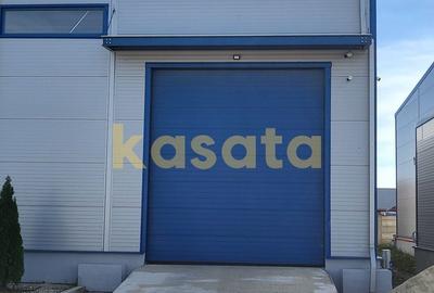 Spatiu de depozitare/productie de inchiriat - Zona de Vest - 7