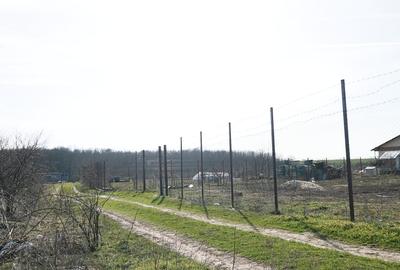 Teren în Găneasa - 4
