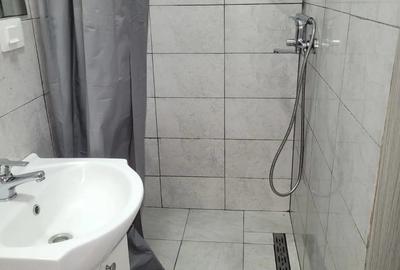 Garsoniera termen lung - 2