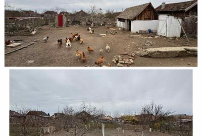 Casa vânzare chisineu cris jud arad - 10