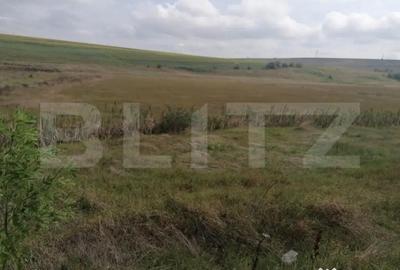 Teren de 20000 mp, în Central - 2