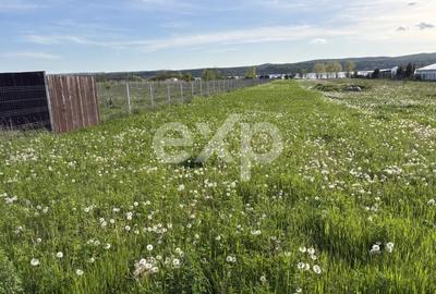 Teren agricol extravilan de 2109 mp, în Budeasa Mare - 2