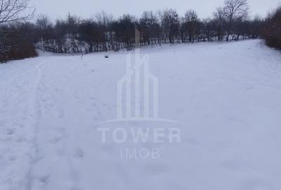 Teren intravilan 2.295 mp, deschidere 60 m – Rășinari, comision 0% - 8