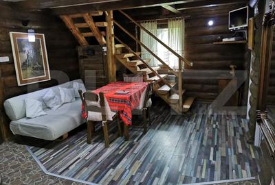 Cabana/Casa de vacanta in Molid, SV, 136 mp, teren cu 3300 mp, Iaz cu pesti - 5