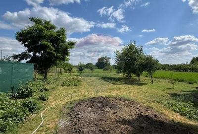 De vanzare casa cu curte generoasa - Fierbinti Targ, Ialomita - 3