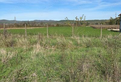 Teren de 4300 mp, în Lalașinț