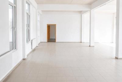 Spațiu comercial, de 663 mp, în Mehala - 5