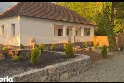 Casă cu 3 camere cu Teren 2000 Mp în Băcia - 14