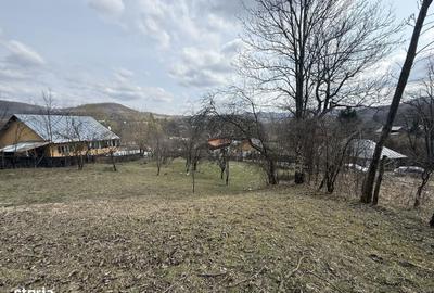 Spațiu comercial, în Provița de Jos - 7