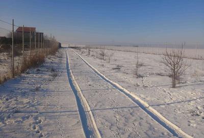 Casă cu 2 camere cu Teren 3000 Mp în Frumușani - 9