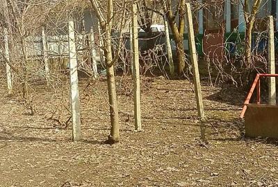 Casă cu 6 camere cu Teren 1600 Mp în Fântânele - 4