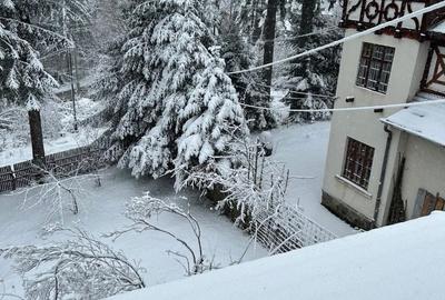 Casă cu 8 camere cu Teren 50 Mp în Furnica - 1