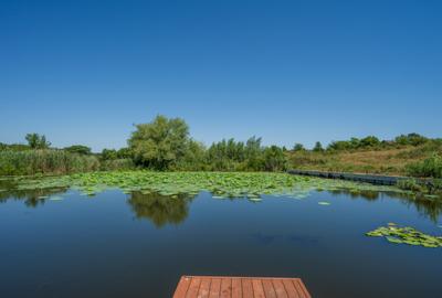 Izvorani, Delta Snagov, Tiny House, Loc ponton, Comision 0 %