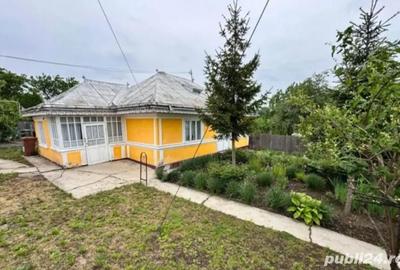 Casă cu 5 camere cu Teren 3250 Mp în Băiceni (Cucuteni) - 4