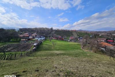 Teren de 4164 mp, în Coman - 8
