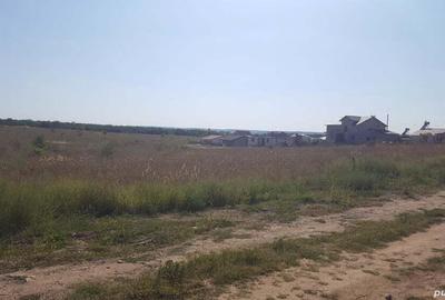 Teren Capsunarie, str. Crizantemelor Teren Capsunarie, str. Crizantemelor - 4