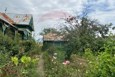 Teren intravilan 4.779 mp + casa si anexe - Girov, Neamt - 15