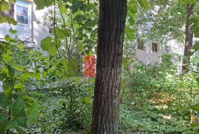 Apartament Piata Victoriei-Titulescu - 10