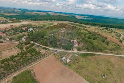De vanzare Teren 3995mp intravilan Saldabagiu de Munte - 6