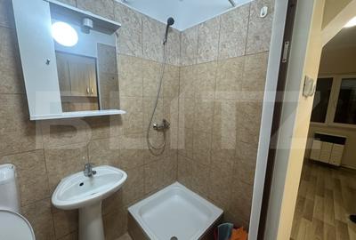 Garsoniera, 19 mp, mobilata si utilata, Zona Micro 17 - 6