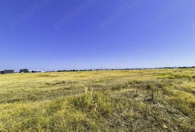 Teren de 2388 mp, în Albota - 4