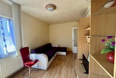 Garsoniera - Bartolomeu Nord Garsoniera - Bartolomeu Nord - 2