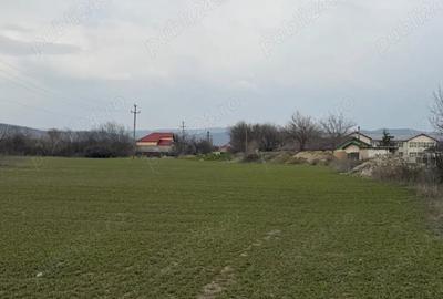 Teren de 10000 mp, în Vernești - 1