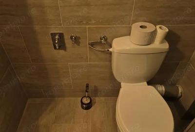 Apartament cu 2 camere decomandat în Pietroasa - 11