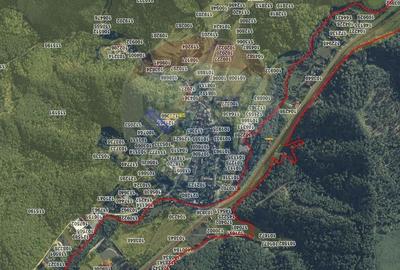 Teren intravilan, 3000 mp, Dambu Morii - 6