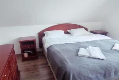 Penisiune independenta energetic, 9 camere, 350mp, zona Palt - 6