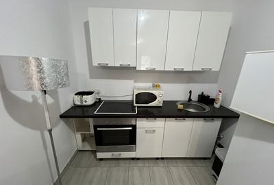 Apartament cu o camera zona Lunei - 5