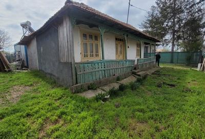 Casa batraneasca locuibila, cu teren generos de 1500 mp,IF Dascalu, langa Profi - 4