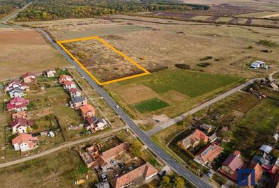 Teren Construcții extravilan de 19000 mp, în Pișchia - 1