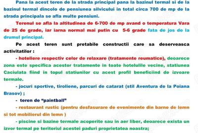 Spațiu comercial, în Căciulata - 8