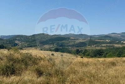 Teren 20,000mp Drobeta Turnu-Severin / Aleea La bogobia