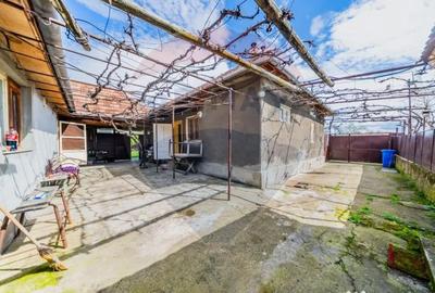 Casă cu 2 camere cu Teren 4500 Mp în Cărand - 18