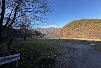 Teren 16,800mp Valea lui Stan / Strada Vultureasa - 1