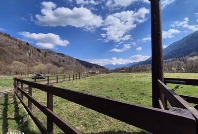 Spațiu comercial, în Plaiul Foii - 4